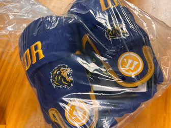 Warrior Alpha LION Team Custom Youth Hockey Gloves